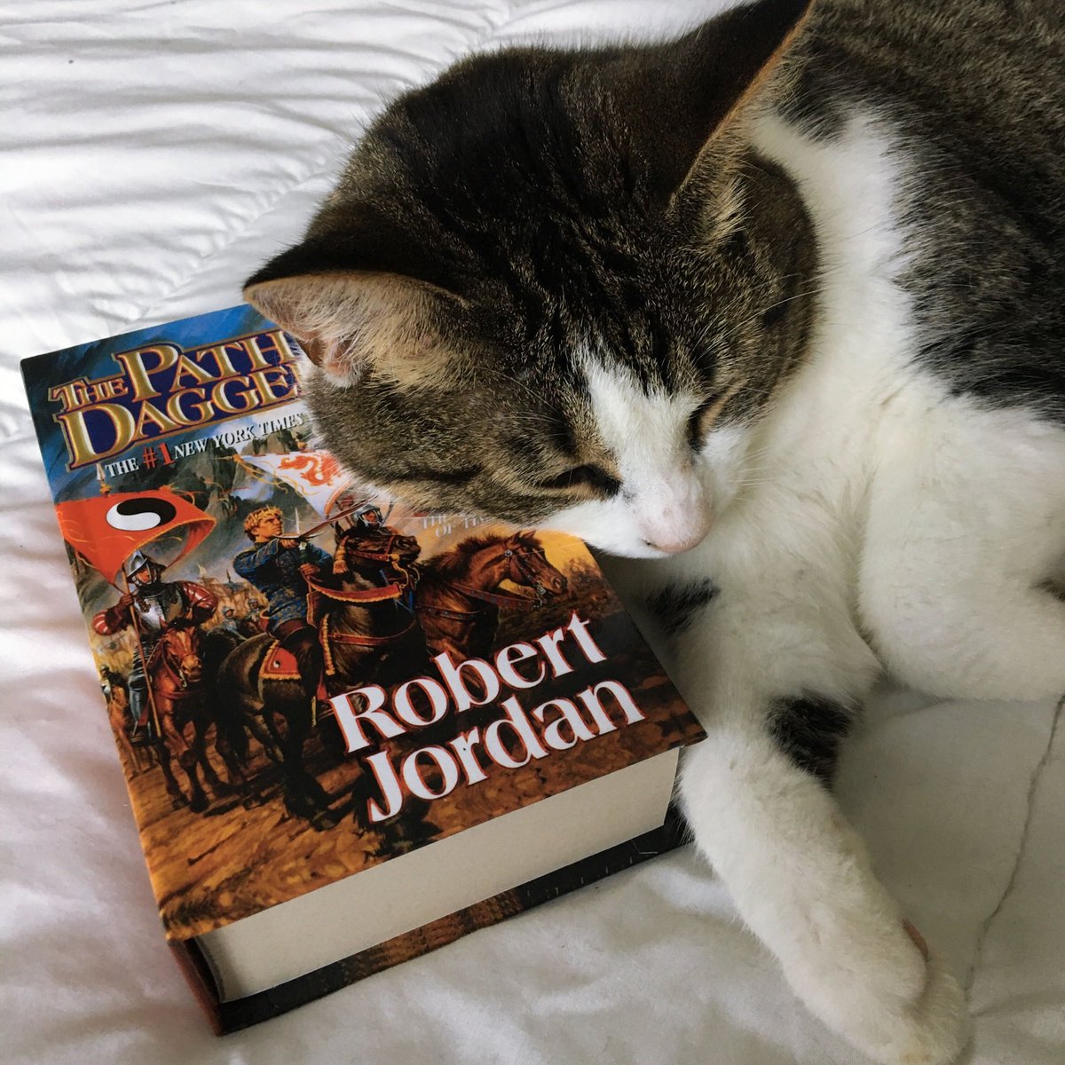 ImaginAtlas's tweet photo. 🇬🇧 Happy Saturday! What’s on everyone’s reading list this weekend? 😎

🇫🇷 C’est samedi! Quels livres se trouvent sur vote liste de lecture ce week-end? 😎 https://t.co/sieU3GDWPb