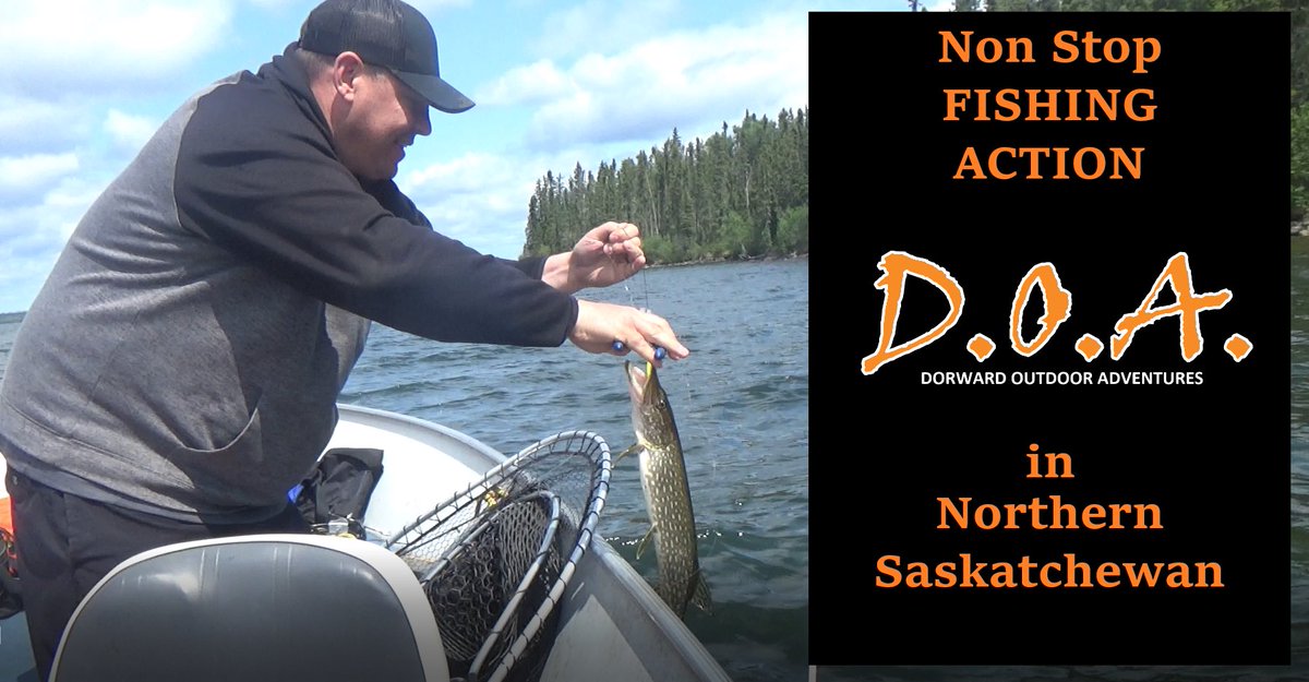 DOAGeoff's tweet photo. ‘Catch’ my latest fishing episode here !  

https://t.co/rStcmDN1k0 https://t.co/HCMmKYTVlB