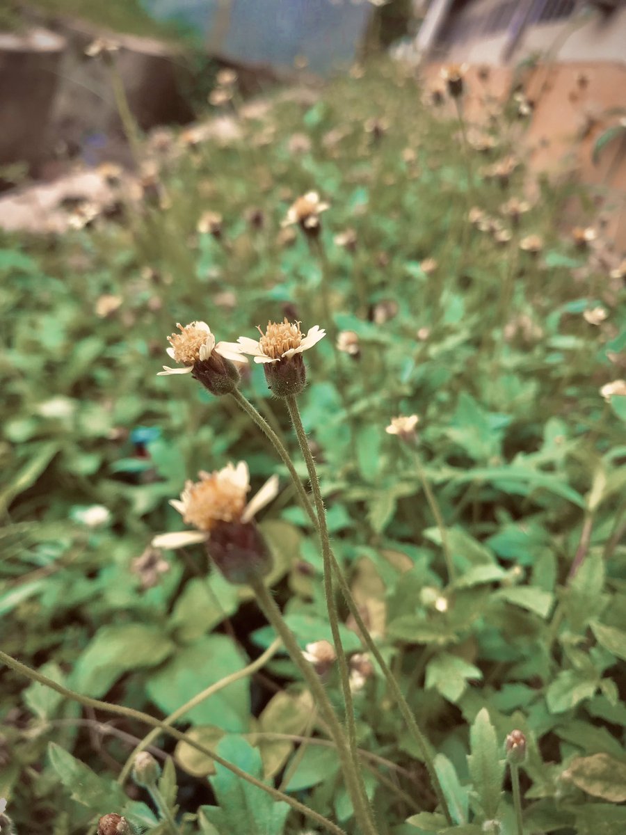 OffixialFrank's tweet photo. @Queen_primis I took these myself rate it please 🥺🥺 https://t.co/iUCl1jzFO2