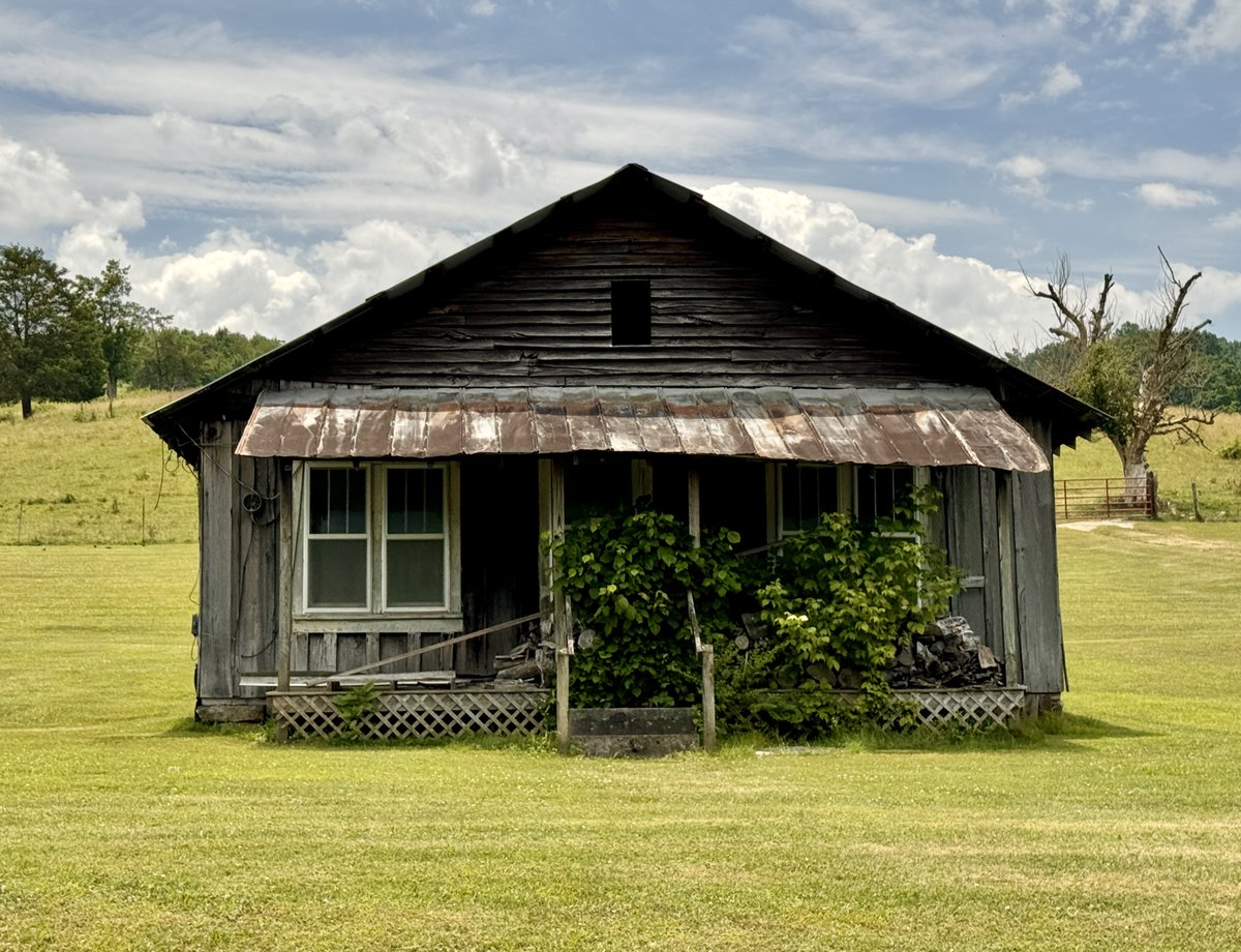 ChickenJoeSTL's tweet photo. A lone, overgrown shack outside Ewing, Virginia https://t.co/Roa87hGndx