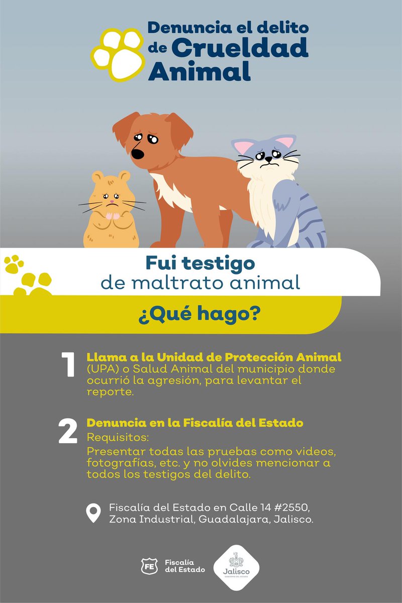 GobiernoJalisco's tweet photo. 🚫🐈🐕‍🦺 El maltrato animal es un delito. Denuncia en la @FiscaliaJal, es importante presentar evidencias que ayuden a la investigación.

Más información en https://t.co/pORRnVwV8V. https://t.co/wo3rZl4Alj
