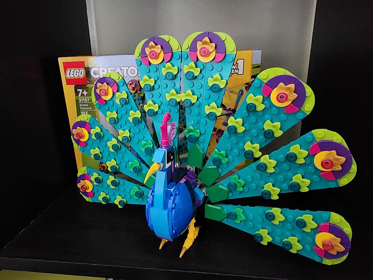 ictoysnashville's tweet image. What is your latest pick-up? This Lego Peacock 🦚 is mine! Share yours here, extra points if it&apos;s from IC Toys Nashville!

#ToyStore #newestaddition #toycollector #lego #playwithyourtoys #vintagetoys #moderntoys #icToys @ICCCNashville