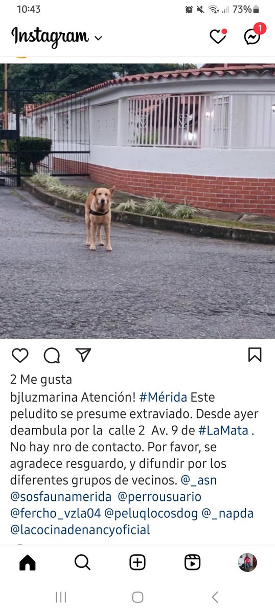 PerroUsuario's tweet photo. Reporta @Ma_Elisa_G: 🚨🚨MÉRIDA🇻🇪, lleva 2 días deambulando por la calle 2, Av. 9 La Mata. NO HAY CONTACTO, difundan por grupos POR FAVOR, https://t.co/9wMqrCW9Mf