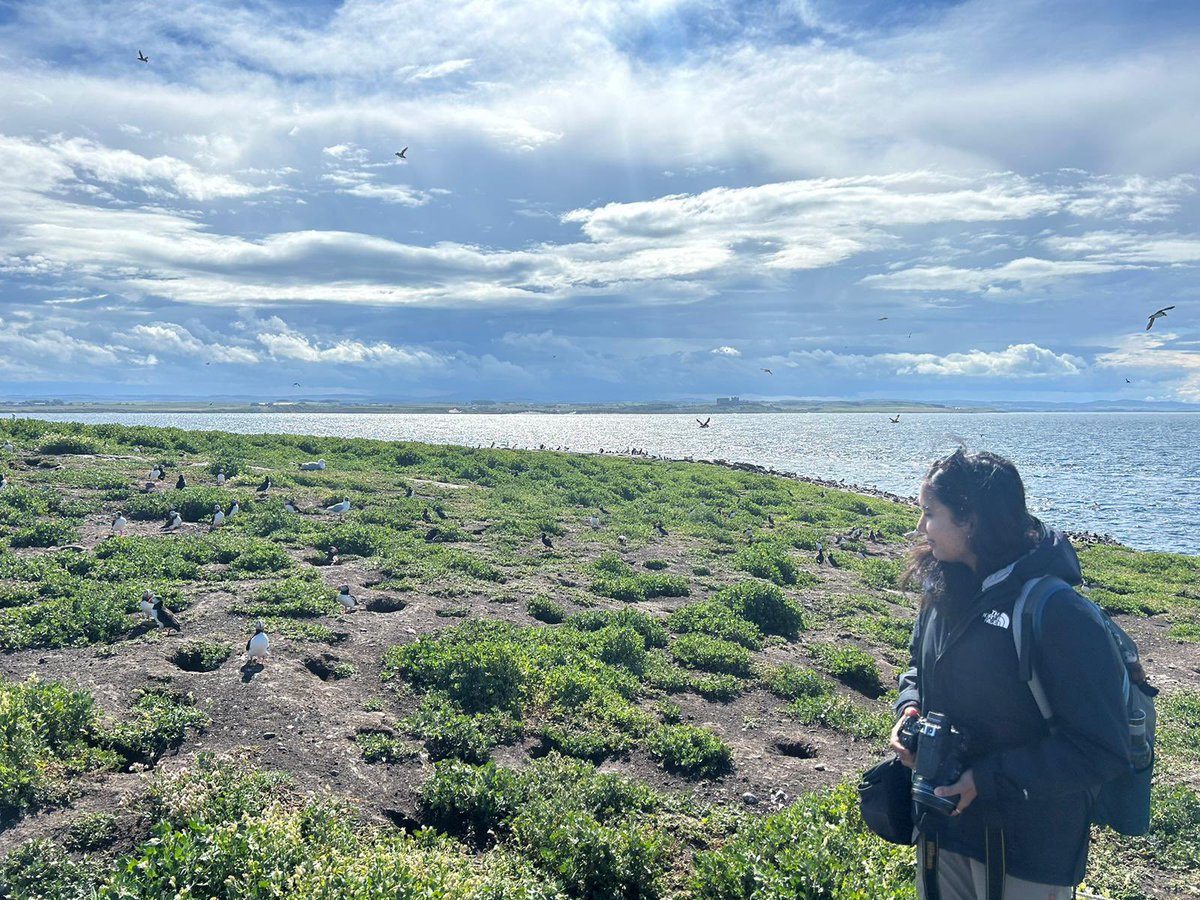 AavikaD's tweet photo. Its been one month of passing my viva and becoming a doctor. Seeing Puffins for the first time and getting attacked by Arctic turns add to the celebration :) https://t.co/PT3a92TJ6k