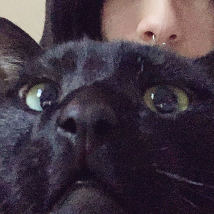 ㅤㅤ
ㅤㅤㅤㅤㅤ𝗵𝗼𝗺𝗲 🎀𝘀𝘄𝗲𝗲𝘁🎀 𝗵𝗼𝗺𝗲.

что-то я плохо себя чувствую в последнее время. думаю, вариант отлежаться дома пару дней мне не повредит.

ㅤㅤ