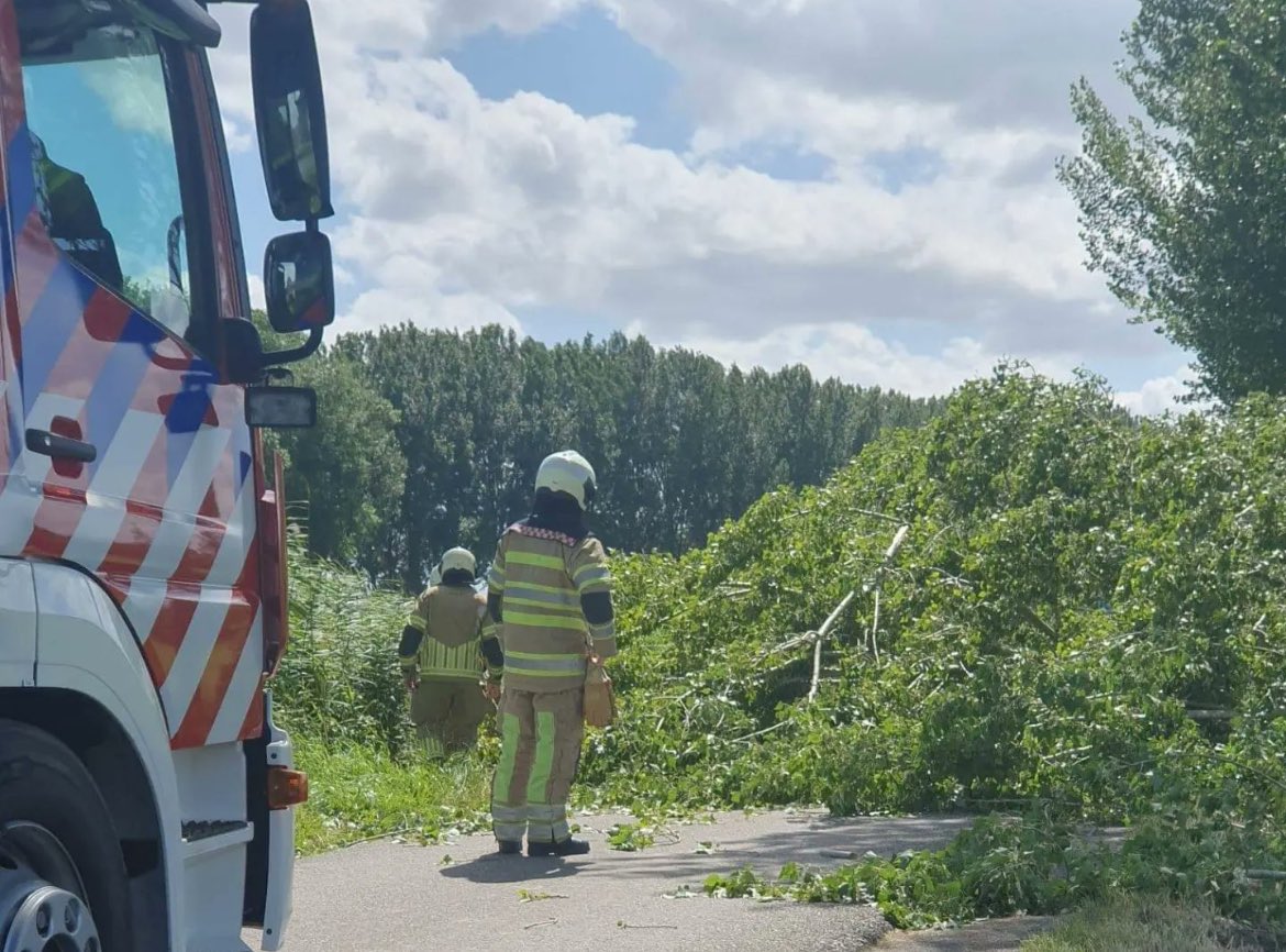 Sjors Fröhlich tweet media