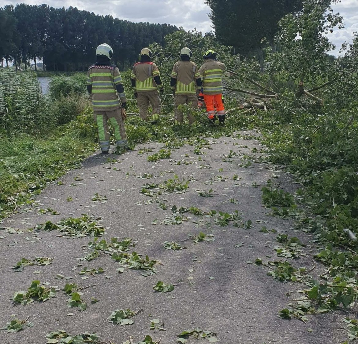 Sjors Fröhlich tweet media