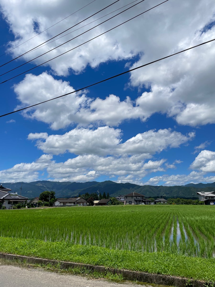 Photo_Walk_Talk's tweet photo. この時期だけに見られる深い青 https://t.co/TdDP0yE9tO