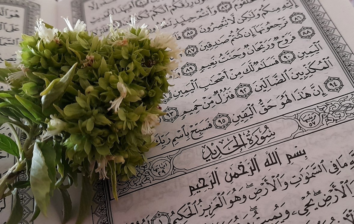 اللهم روح وريحان وجنتُ نعيم
#همس