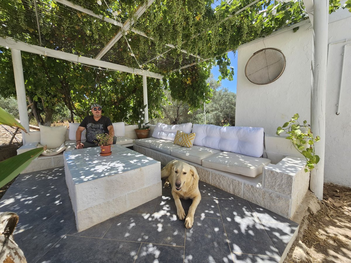 devalverdees's tweet image. Hay días que mejor que amanezcan