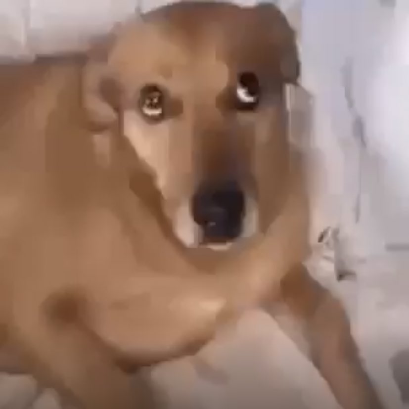 lojas brenner tweet media