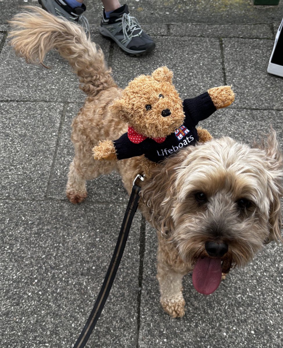 Met amazing fundraisers today ⁦<a href="/RNLI/">RNLI</a>⁩ Criccieth today. Diolch .