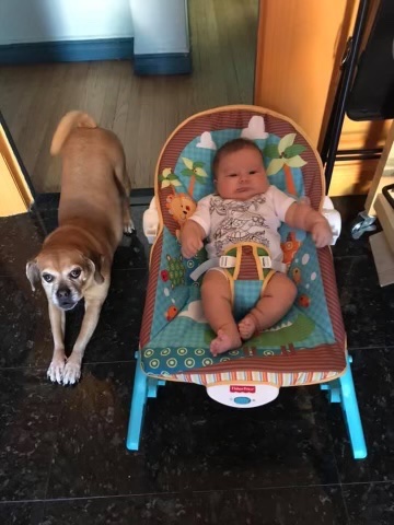 pathological supply avoidance tweet media