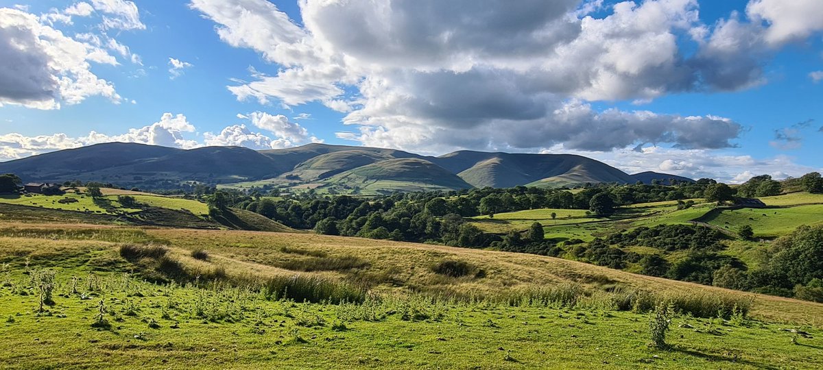 This evening's #ViewFromTheCar #CarLiving #VanLife