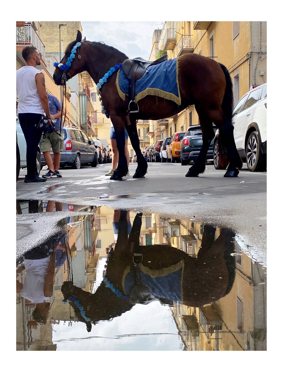 2luglio #matera #Basilicata #terradimezzobook #photography <a href="/TgrBellitalia/">Bellitalia</a> <a href="/NatGeo/">National Geographic</a> <a href="/LaGazzettaWeb/">La Gazzetta del Mezzogiorno</a> <a href="/repubblica/">Repubblica</a>