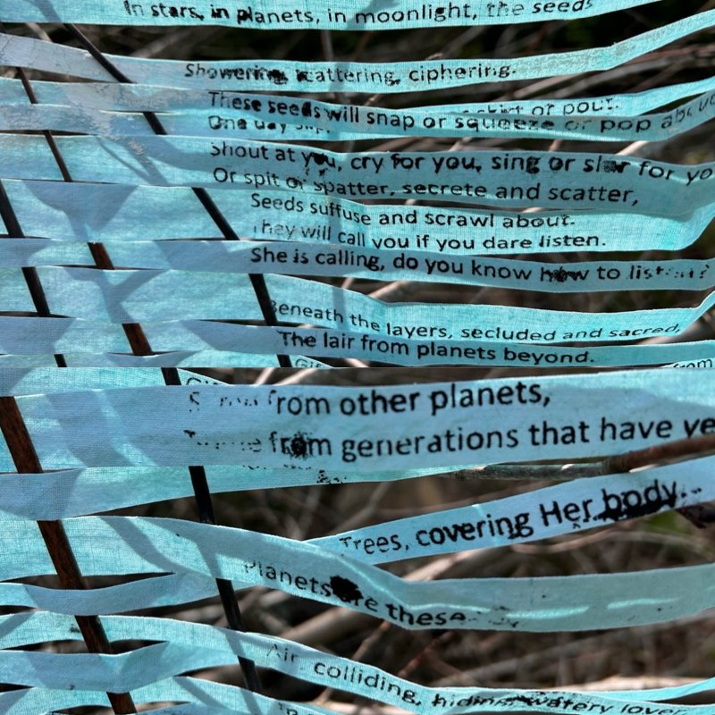 Image and words from Christine Charette's Roots that Braid Themselves.  She will be performing that work on July 18 at Warbler's Roost #explorealmaguin for #wld24 World Listening Day 2024. naisa.ca/festivals/soun…