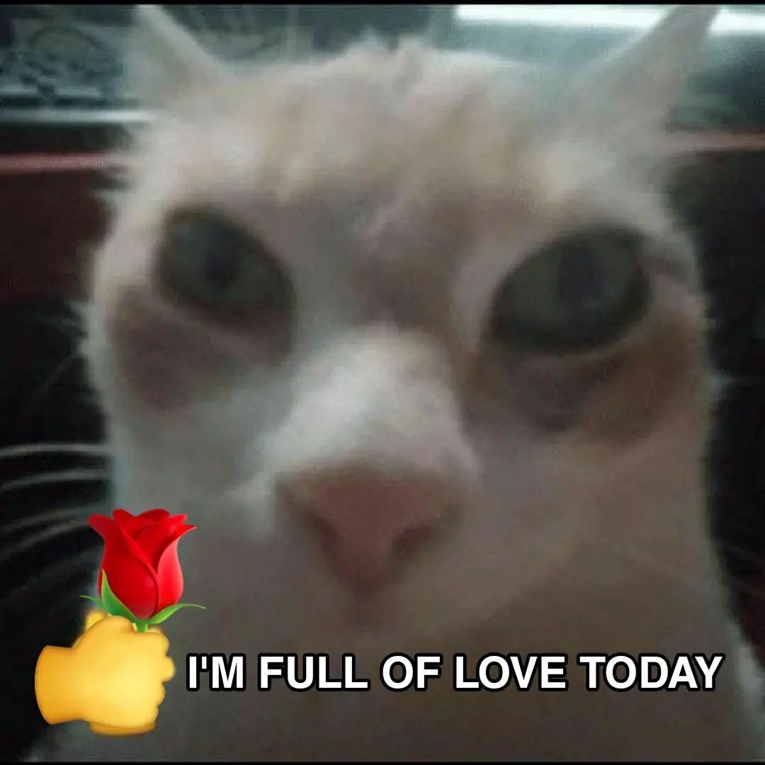 Self Love Blessing Cat | Original Design Square Prints Blessing Card –  Little Refreshment, image size:1080x1080