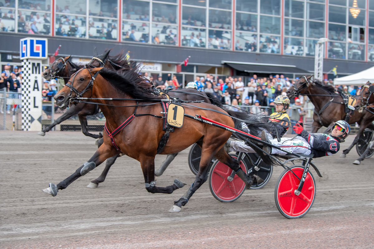 Denco’s Galliano &amp; Get A Wish 🏆🥇
#v75