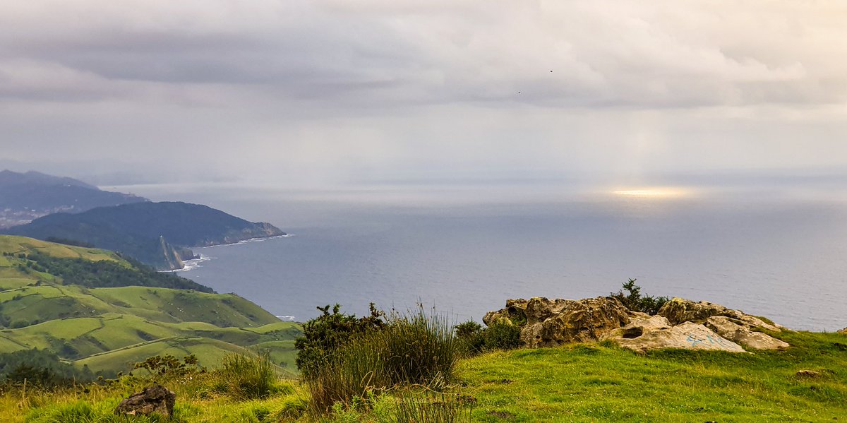 redvamas's tweet image. Miradlo, por ahí viene!!!
Ya llega el verano vasko surcando los mares.
No hagáis ruido, que se asusta.

Ivan Muñoz (CC BY-SA 4.0) #VisualGrafik
#Jaizkibel #Oarsoaldea #Donostia #Cantabrico #MarCantabrico
#Verano?