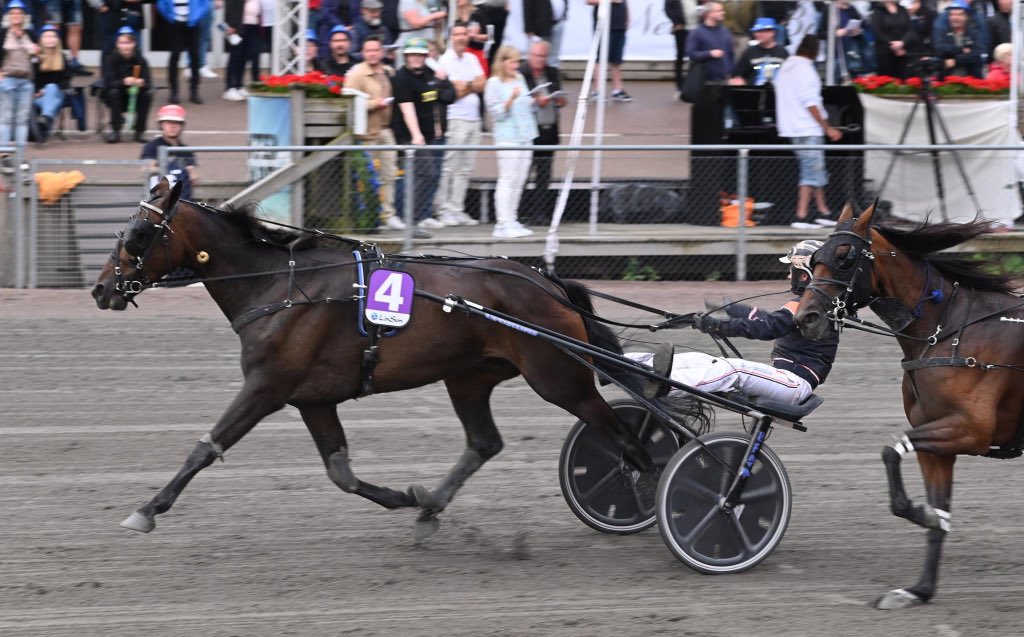 Den där segern värmde, Humanity Pellini 👑💥