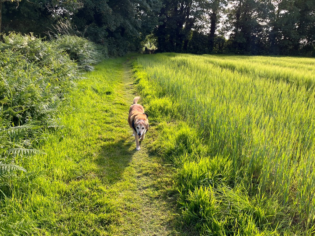 BJR FINANCIAL PLANNING tweet media