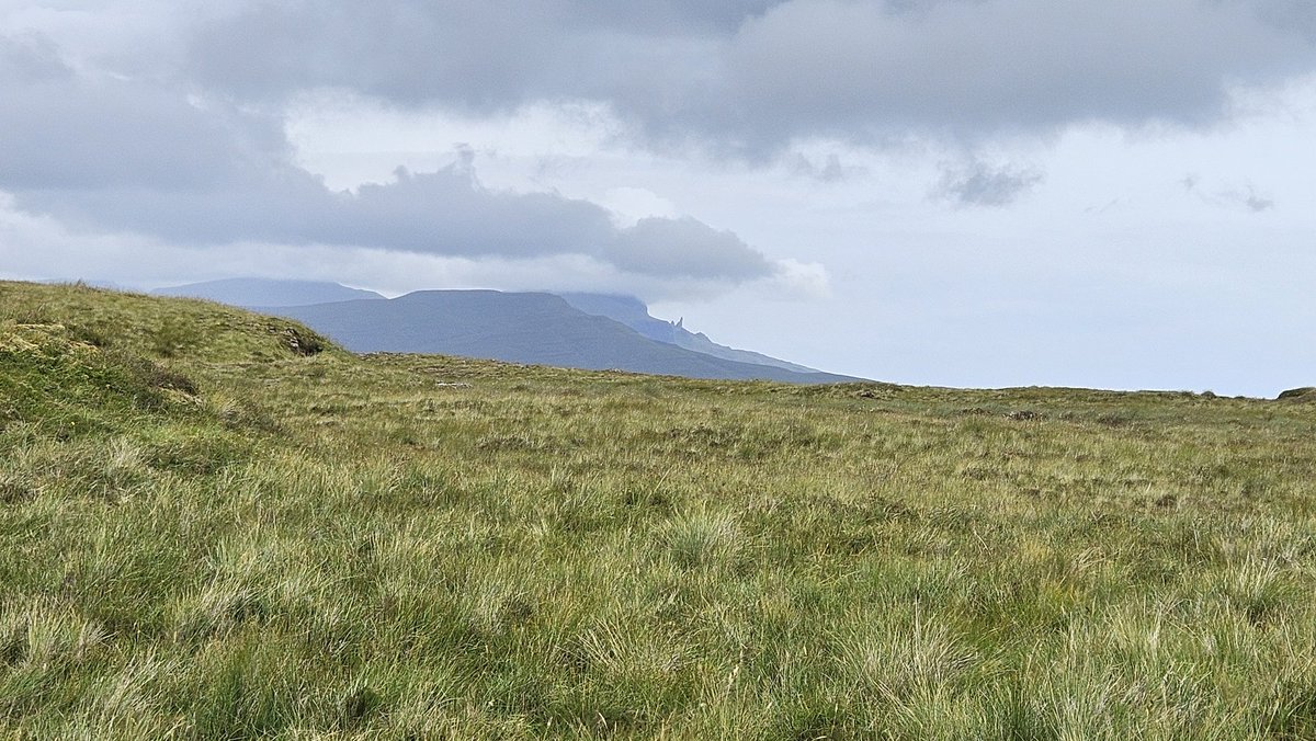 ColliesandCakes's tweet photo. Great morning walking up to the Skriaig cairn with @BobOnSkye &amp; the furry boys
Clagged in views today but still good for the soul
Watch a Common Snipe having a bath on the way down 
#Skye #Scotland https://t.co/22io1CEyzB