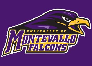 macpturner's tweet image. Coming home 💜💛