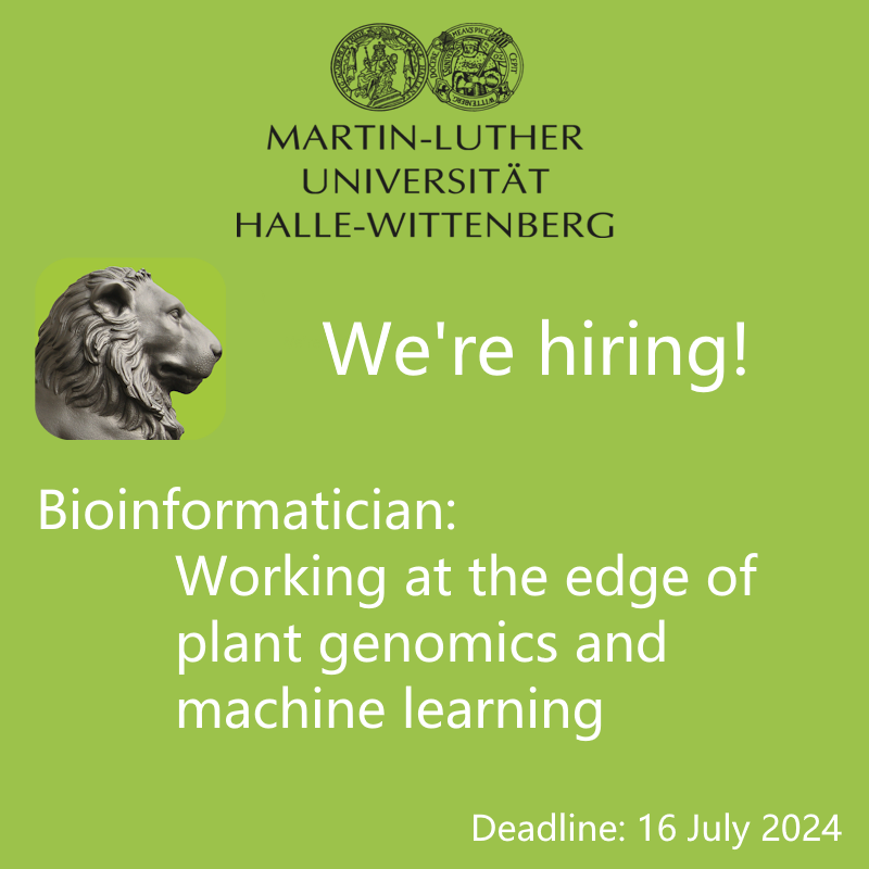 10 days left to join our team. My group is looking for a new member. We are seeking a highly motivated bioinformatician with expertise in crop genomics and machine learning. Apply until 16 July!

English (PDF download):
verwaltung.uni-halle.de/dezern3/Aussch…