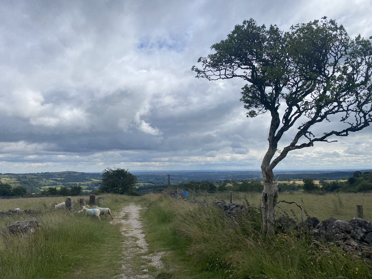 Sandringham DofE tweet media