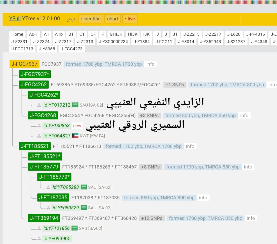 Hawazin_DNA's tweet photo. 📌 إعلان
Big Y 700 - FTDNA
ID: 423040
نتيجة من #السمرة من طلحة من روق من #عتيبة من هوازن +#FGC7937 على الخط المرجح هلاليته، تلتقي مع الزايدي النفيعي في التحور FGC4262 بعمر 800y
مسار الخط
FGC4268→ FGC4262
FGC7937→ FGC4273→ FGC1715 #FGC1713 https://t.co/XUPgxR6mHi