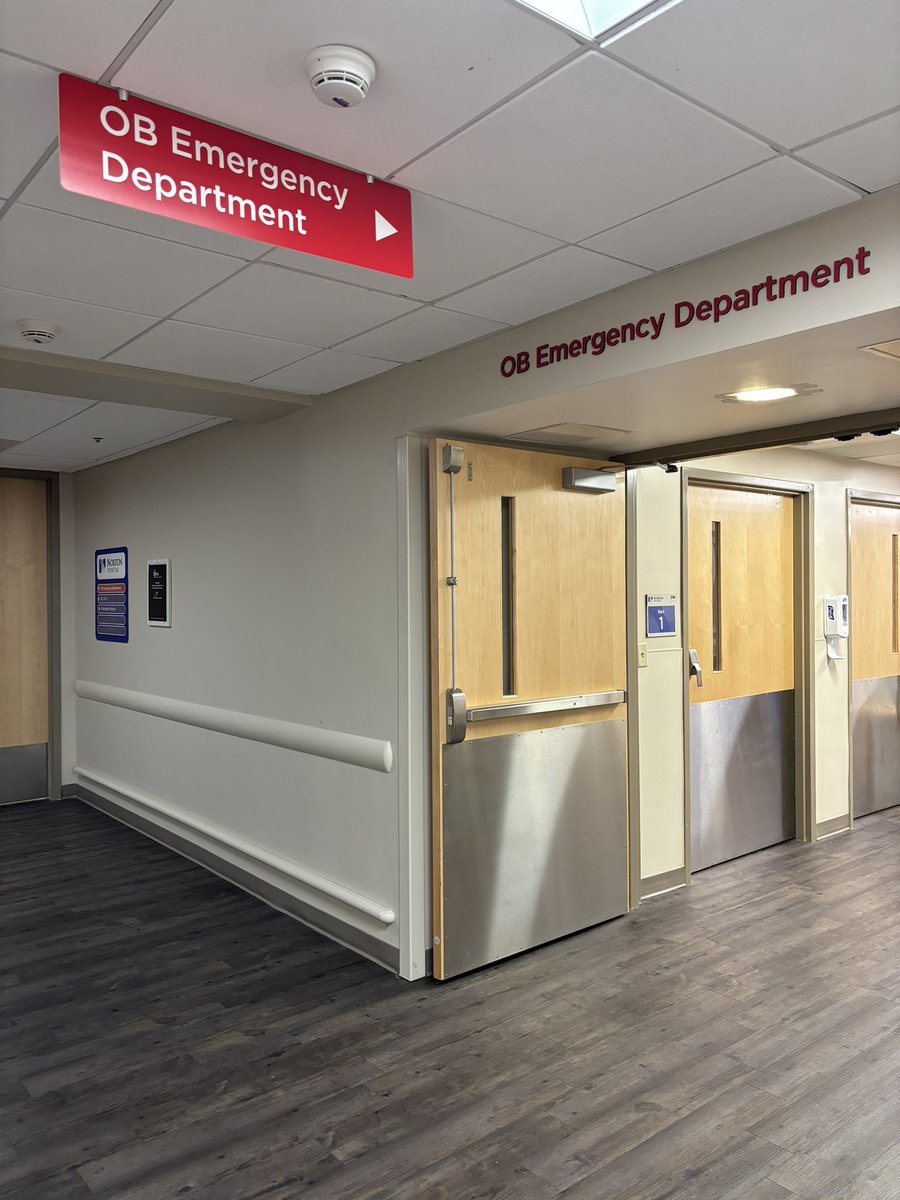 Adrianne Charmai ✨ tweet media