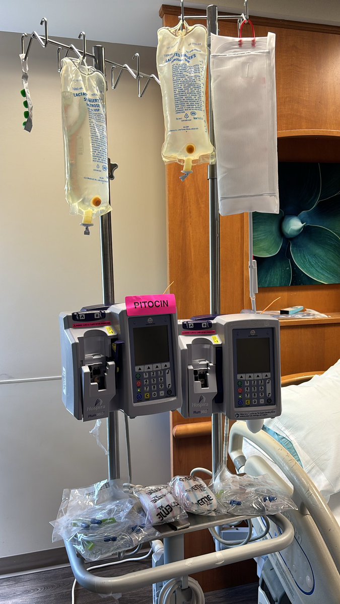 Adrianne Charmai ✨ tweet media