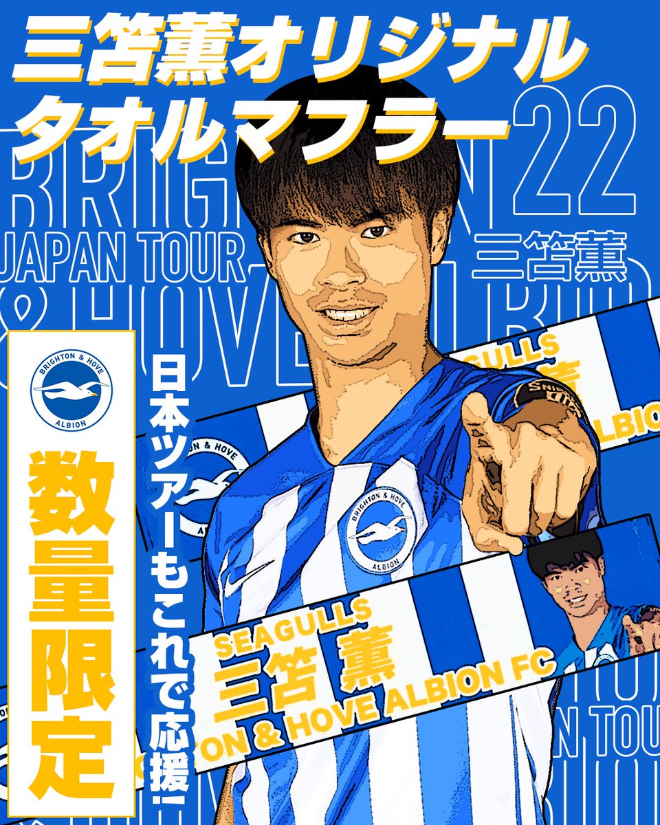 ブライトン サッカーマフラー Brighton & Hove Albion ブライトン サッカーマフラー Brighton