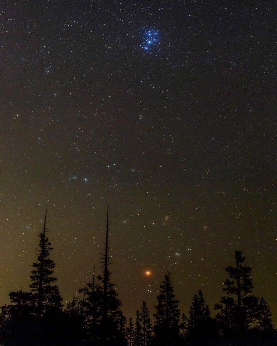 astropics's tweet image. The Pleiades