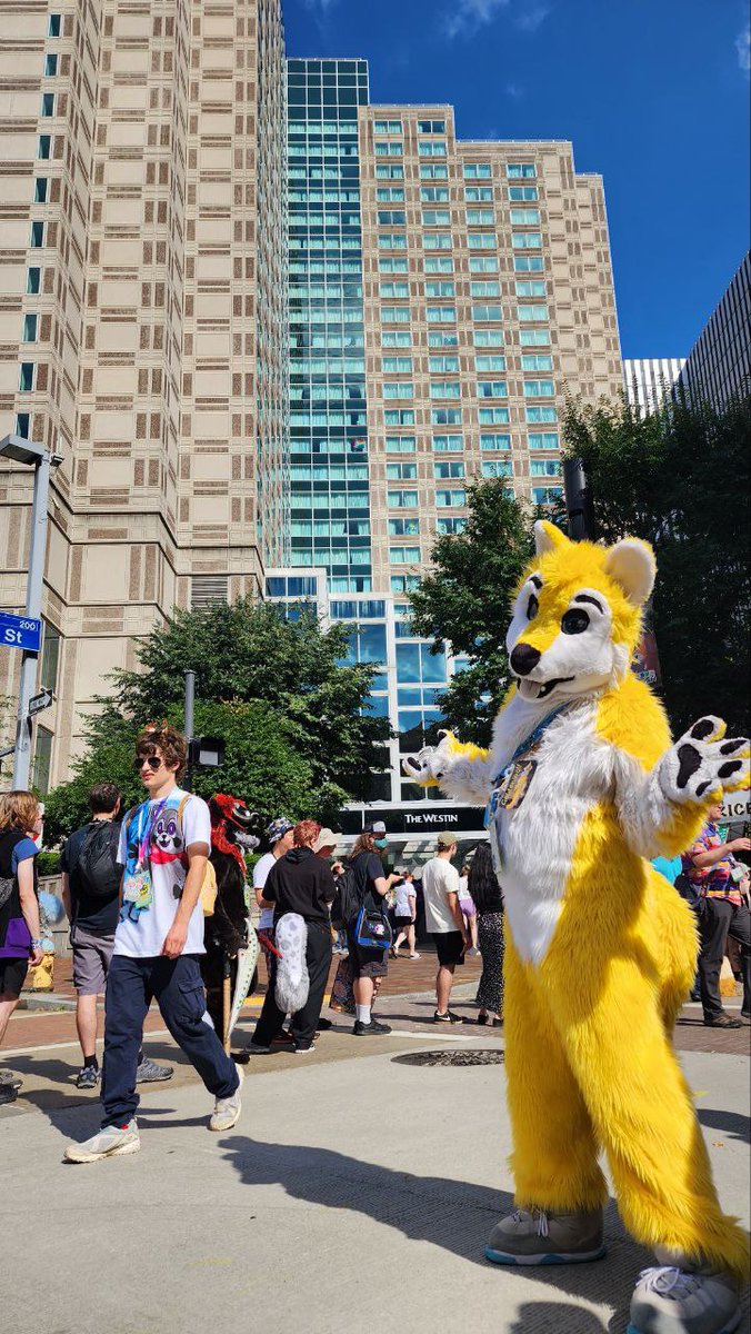Goldenwolf the twinkiewolf tweet media