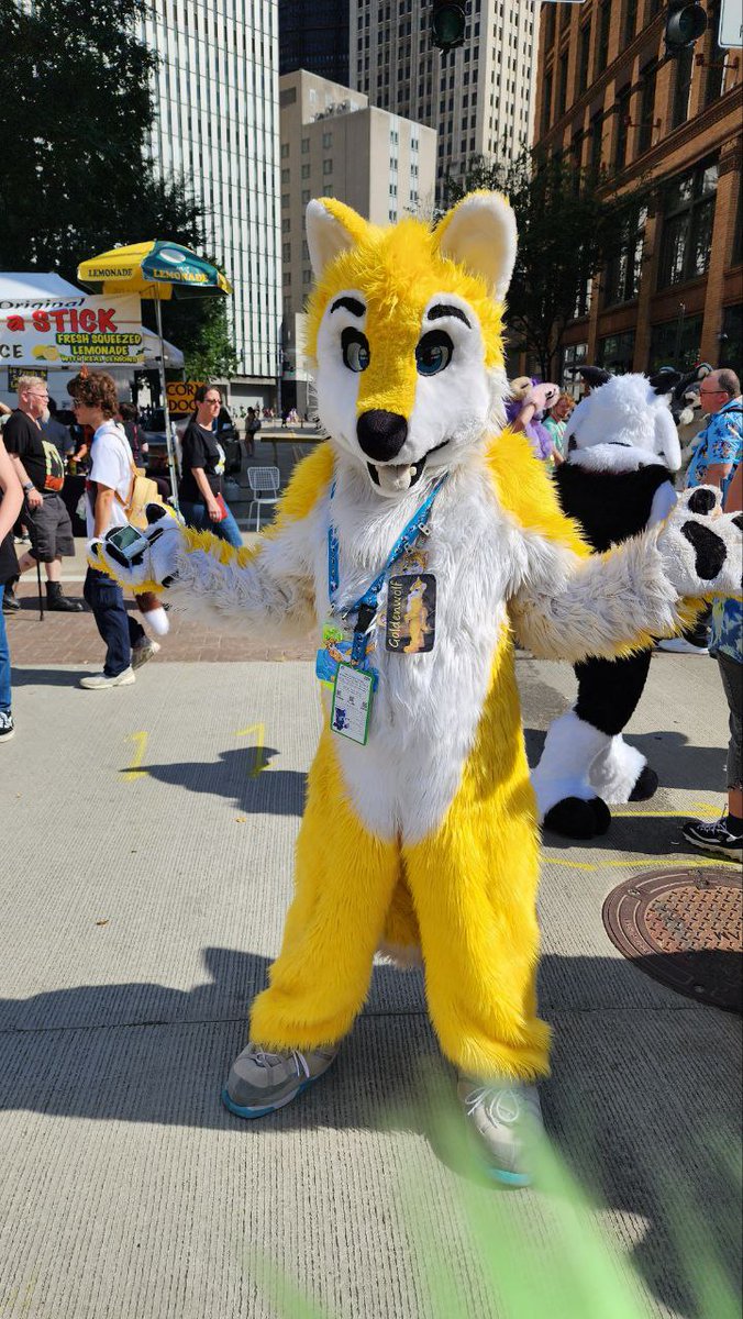 Goldenwolf the twinkiewolf tweet media