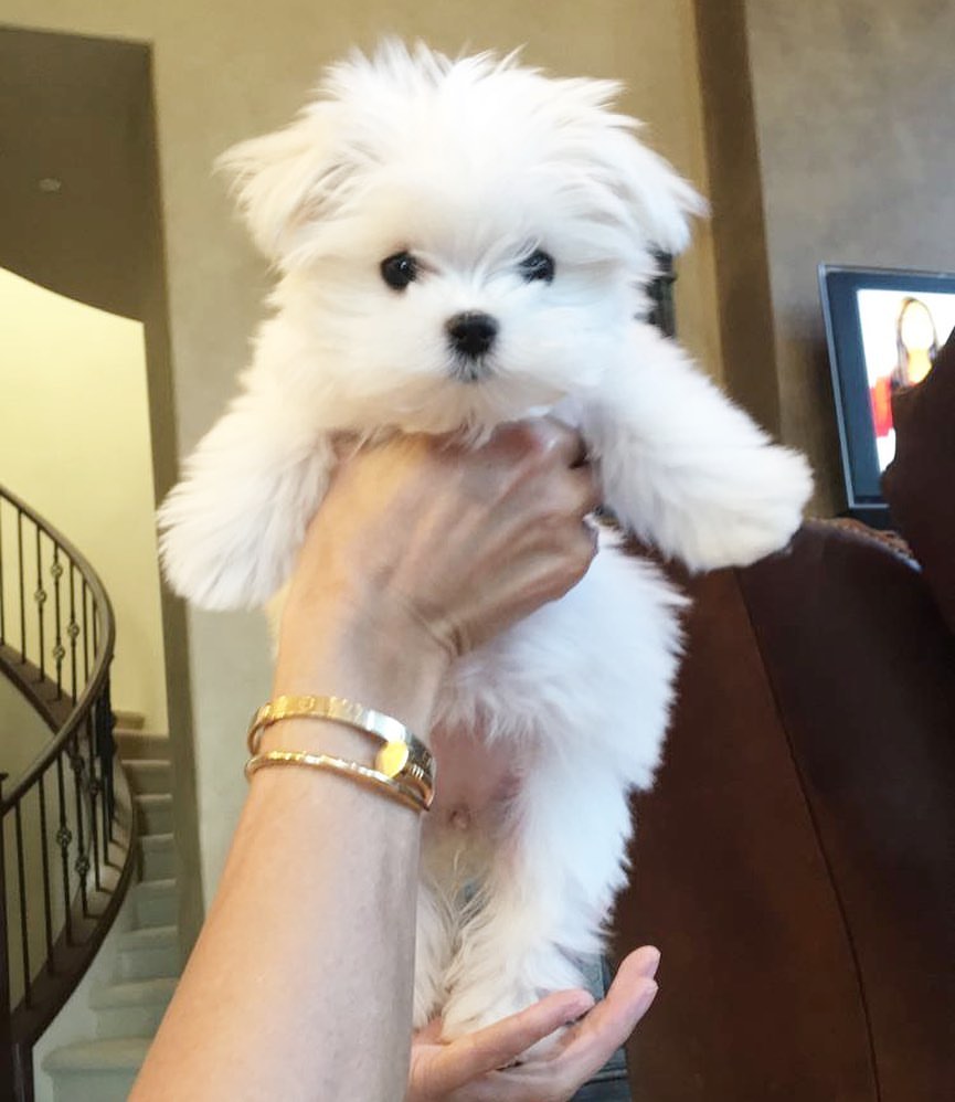 $coco just a baby