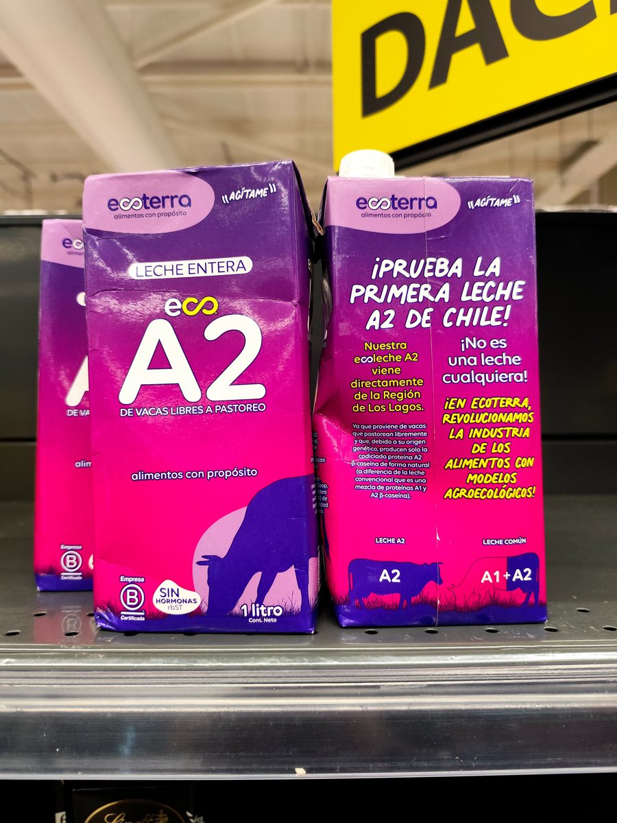 BardhyLopezF's tweet photo. Encontré esta leche A2 en Lider. Dice que es una opción más digestiva y amigable para quienes tienen molestias con la leche regular. Contiene solo proteína A2, lo que puede reducir síntomas digestivos. Leche de productores de la Región de Los Lagos #Salud #Nutrición #LecheA2 https://t.co/aWGz8kOZgB