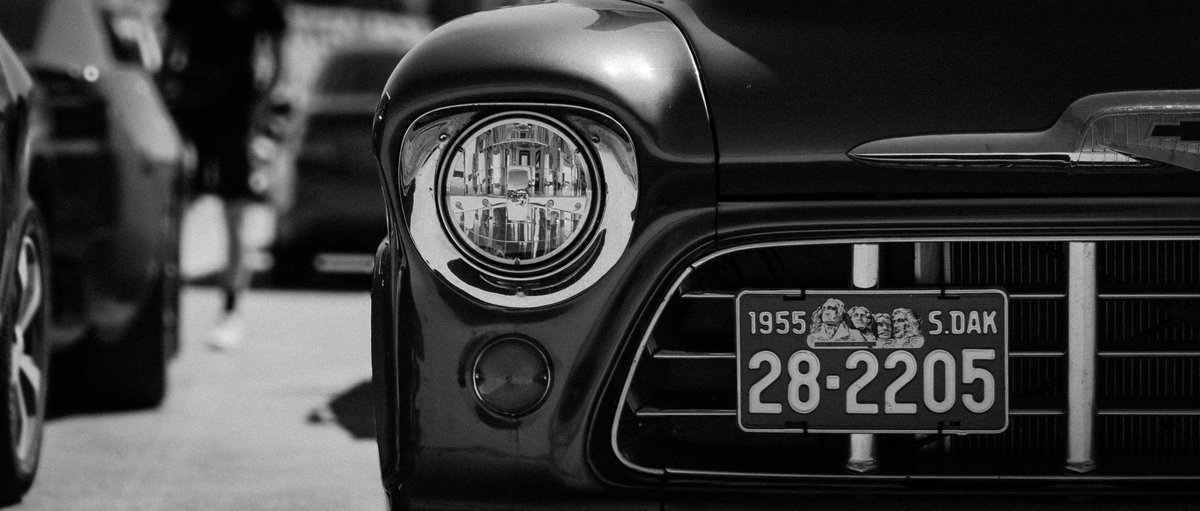 Cryo Fox (@cryofrostfox) on Twitter photo 