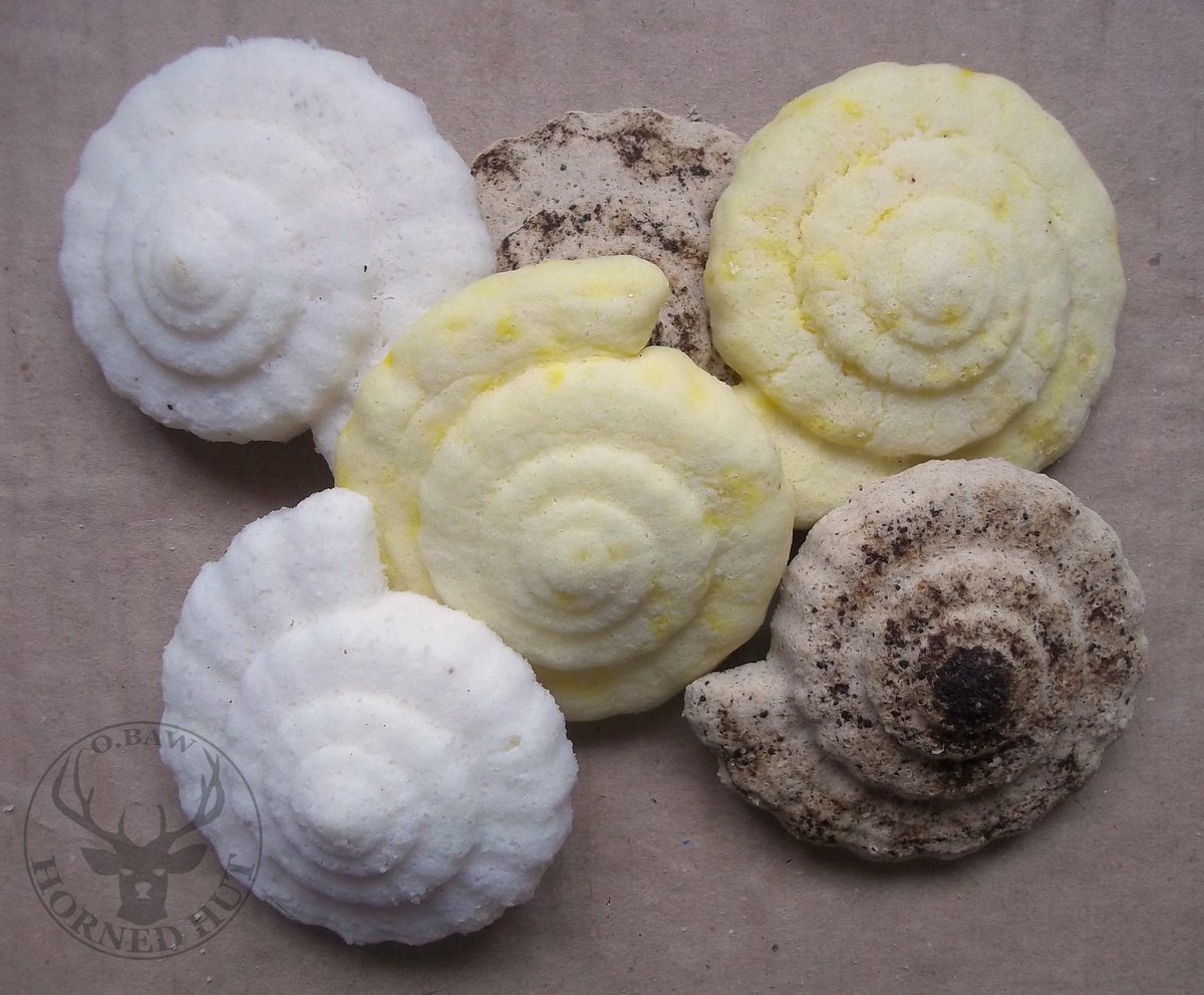 Horned_Hut's tweet photo. #bath_bombs #handmade #craft #crafting #Horned_Hut
My attempt to make bath bombs.
White - lavender.
Yellow - coconut,
Light brown - coffee
Since I was crafting them for the first time, I managed with a small amount of ingredients. It was fun, then I'll buy new supplements... https://t.co/1l0bv9lPfp