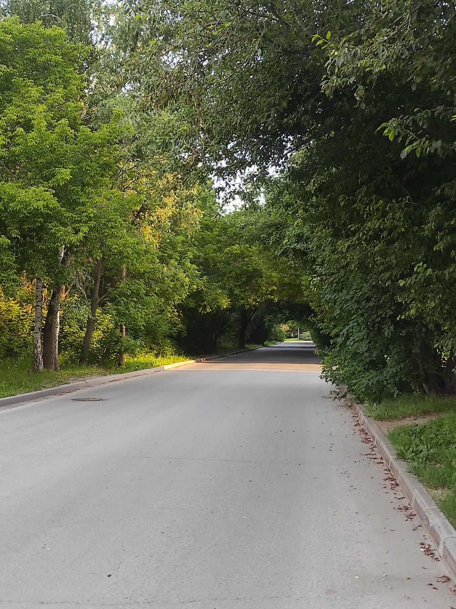 Anna Novakova tweet media