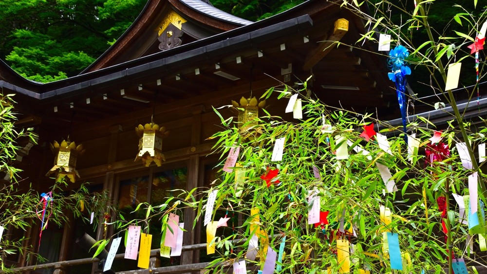 japan's tweet photo. July 7th is #Tanabata! This tradition was inspired by the legend of 2 star-crossed 🌠 lovers separated by the Milky Way and destined to meet just once a year. People hang wishes on bamboo branches 🎋 and visit Kyoto's Kifune Shrine, Asakusa in Tokyo, etc.
https://t.co/umRyfr3YEL https://t.co/PA6OJlCjod