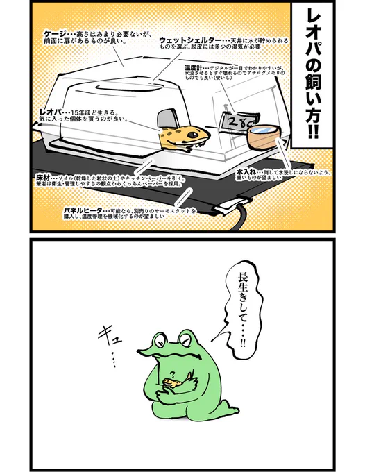 レオパの飼い方漫画