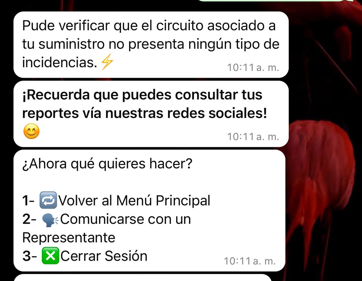PaulPaev's tweet photo. @Edeste_RD  señores esto es un caos ,  tenemos una avería, que duramos más de 30 horas sin luces desde antes de ayer , ayer llegó a las 6 de la tarde y antes de la 6 de la mañana olvidó a irse , lo lindo es que llega de más de 5,400 pesos , es un abuso @delvyslanfranco ayudaaa! https://t.co/1jcqXxFtco