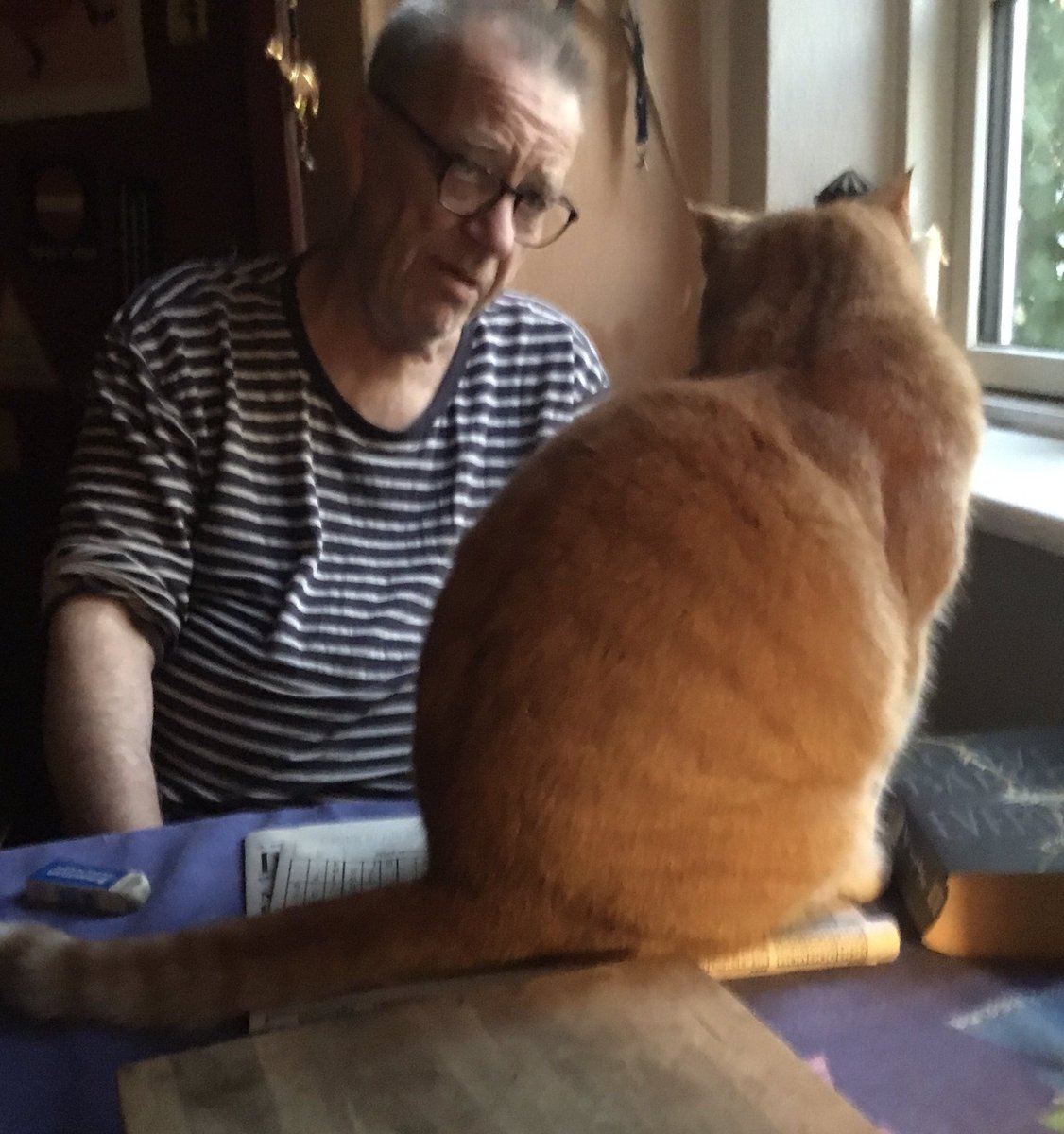 Strikketanten's tweet photo. "Whaddayamean, it's your crossword? And the sudoku beneath it? I'M sitting here, it's MY mat!"

#MissPhoenix https://t.co/NyLskftbBG