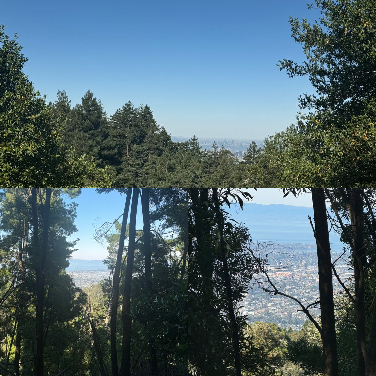 kxibrownie14's tweet image. Walk with me…🚶🏻‍♀️🥾🌲☀️✨

“Let’s find some beautiful places to get lost together.”

#whatafeeling #outdoorsgirl #getoutside #ilovenature #bayarea #eastbay #saturdaymood