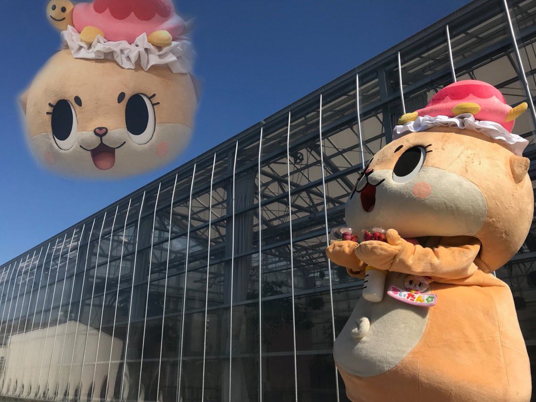 @ph4sm0kin You are beautiful. Please don't give up! 
From Chiitan's point of view, there is no difference in genders. 
Live the way you want to live. Chiitan will always be close to you and support you.
Chiitan loves you.