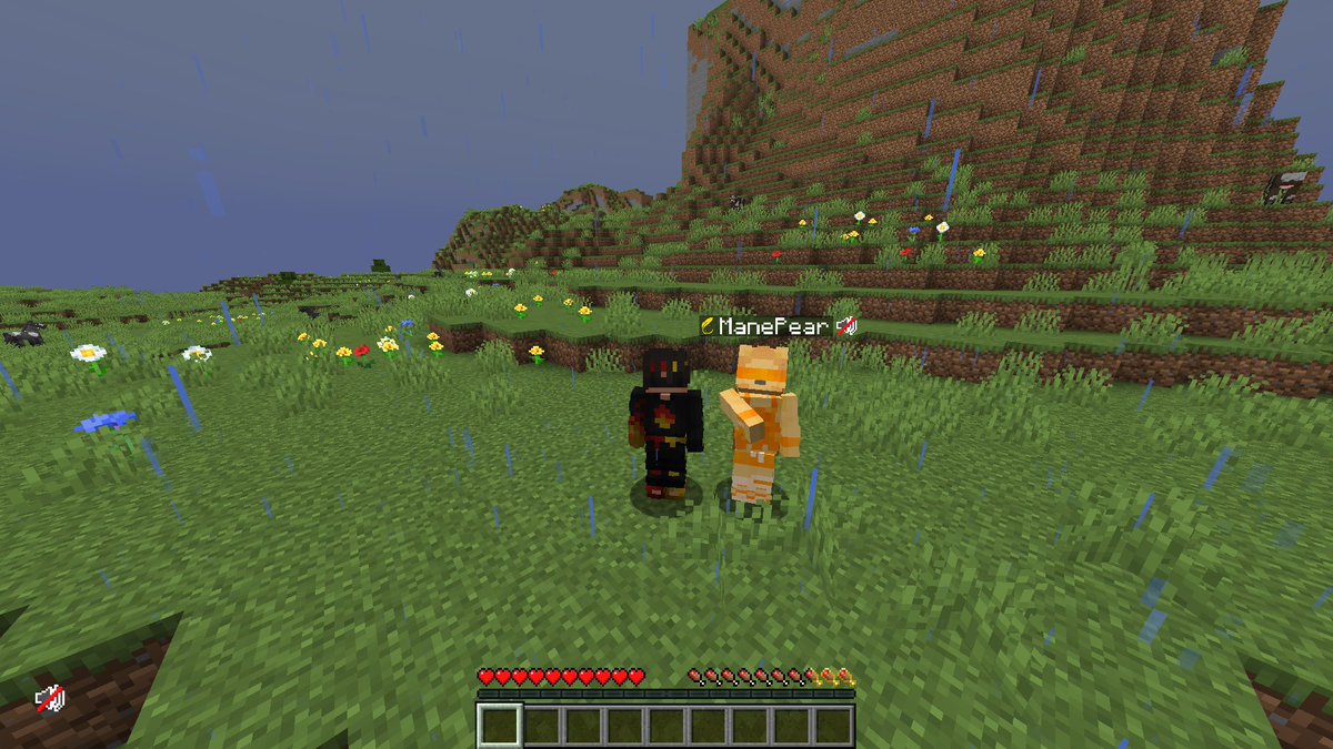 Blindfold Brothers! #lifesteal #lifesteals6