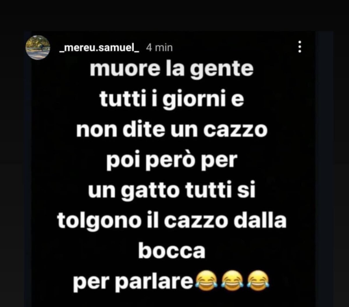 @VerdeVetriolo tweet media