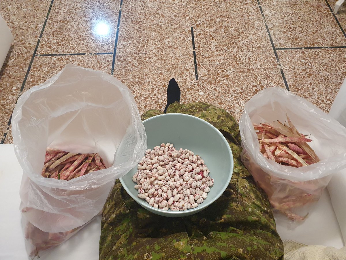 Idea di business: workshop di mindfulness in cui si sgranano i fagioli e alla fine si cena con pasta e fagioli tutti insieme (non con quelli sgranati sul momento poiché vanno messi a bagno, quelli sgranati dal gruppo del giorno prima)